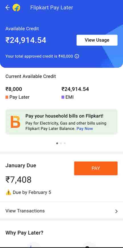 Flipkart Pay Later